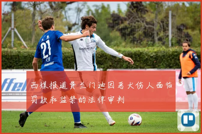 西媒报道费兰门迪因恶犬伤人面临罚款和监禁的法律审判
